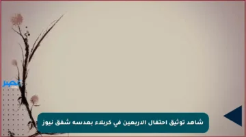 شاهد توثيق احتفال الأربعين في كربلاء بعدسة شفق نيوز